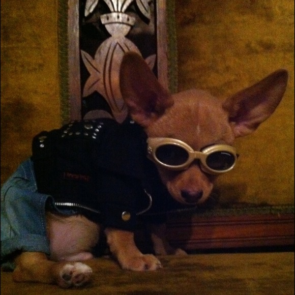 "Zebidiah" (Zebberz) a real rider!!!