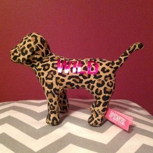 Cheetah print Pink by Victorias Secret dog!