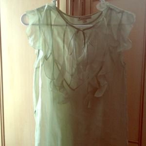 Light green silk top