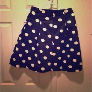 Navy Blue Polka Dot Skirt