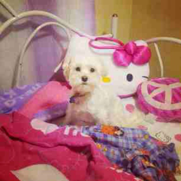 MEET MY JOEY!!!!!!!!!!!