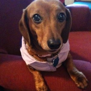 ISABELLA, Fashion Director  @nursedesiree