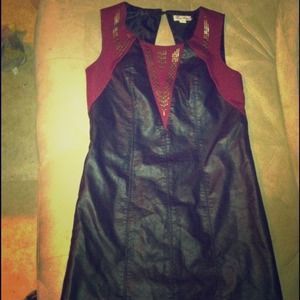 Non-Leather dress with panels.