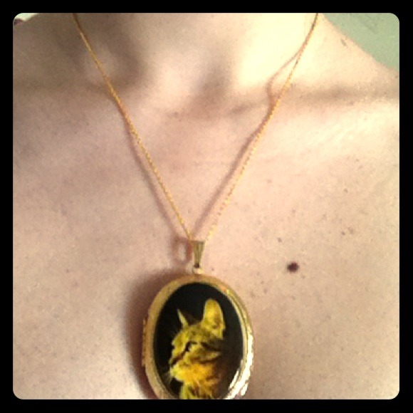 Cat portrait locket