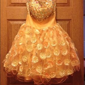 Homecoming/Prom dress