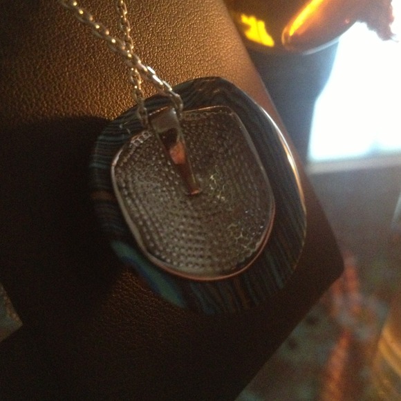Turtle Shell - Picture 2 of 3