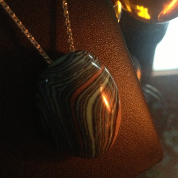 Turtle Shell - Picture 3 of 3