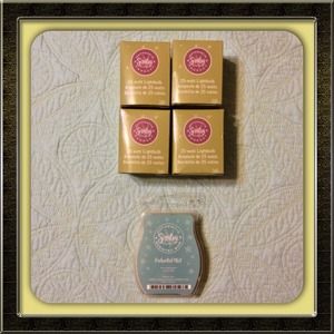 Scentsy light bulbs and fragrance bar