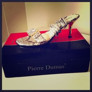 Pierre Dumas Avalon heels