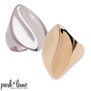 Silver Park Lane Concept Ring