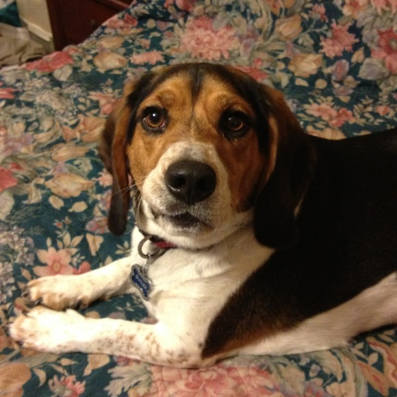 My grandson, Butler