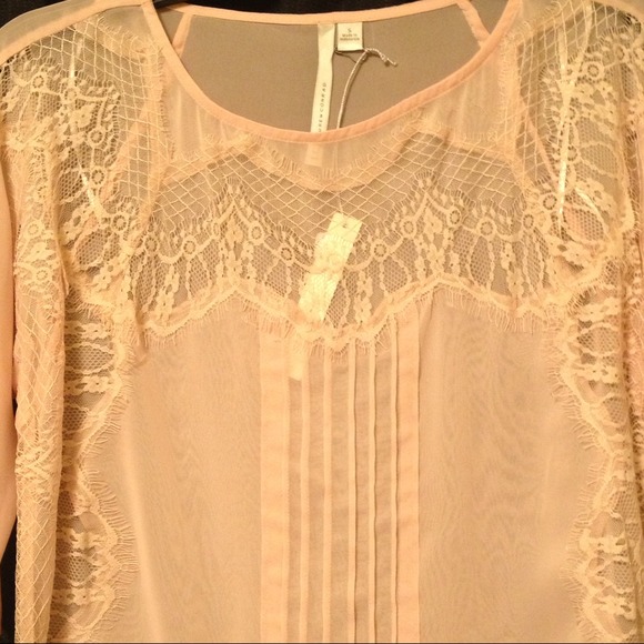 🚫SOLD🚫LC Lauren Conrad pink sheer blouse - Picture 3 of 4
