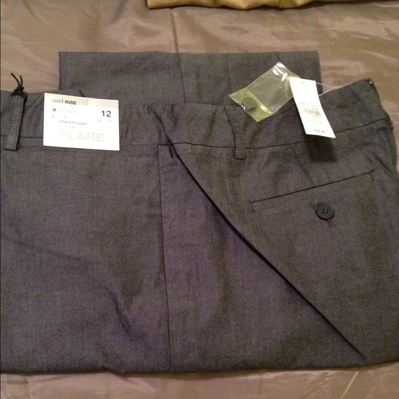 Bundle for lizandlearn