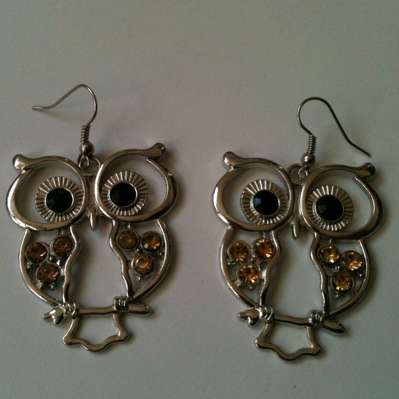 •Large owl earrings* hold
