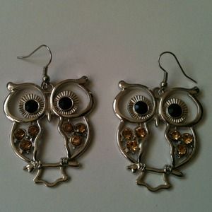 •Large owl earrings* hold