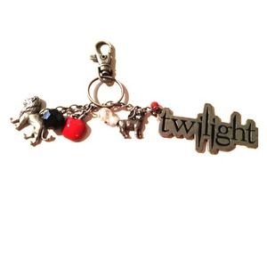 🔸BUNDLED🔸Collectible Twilight Keychain