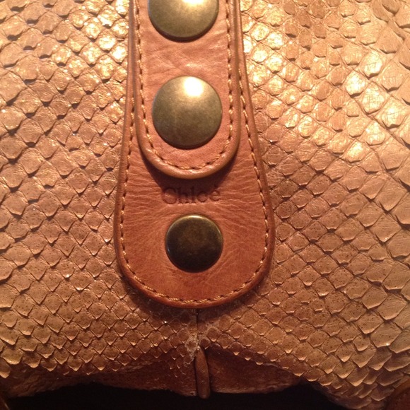 👏SOLD👏Authentic Chloe Silverado Phyton bag - Picture 4 of 4