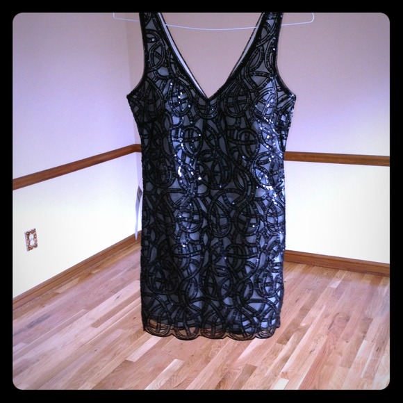 Organza embroidered sheer bebe dress