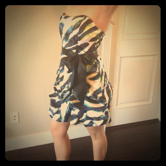 Zebra Dress