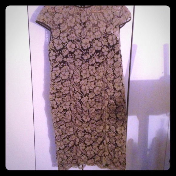 Gorgeous lace and chocolate appliqué dress