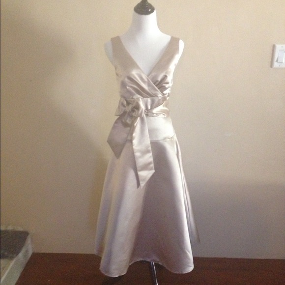 Gorgeous BCBG Dress