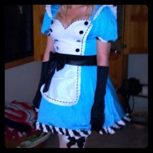 Alice in Wonderland Halloween Costume