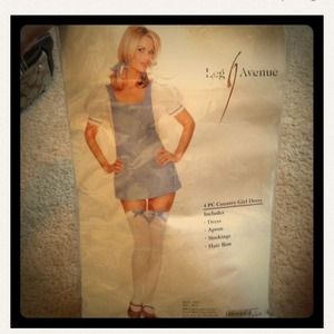 Dorothy / country girl halloween costume