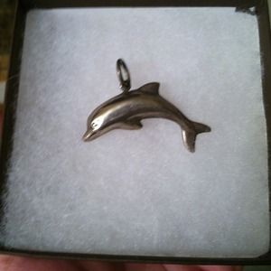 Dolphin charm