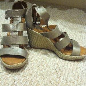 Fossil wedges