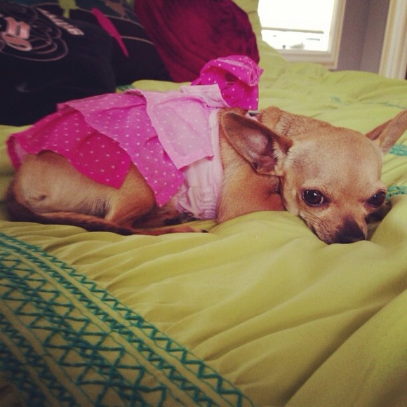 Meet your seller! - Picture 2 of 4