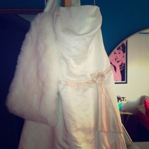 David's Bridal ball gown