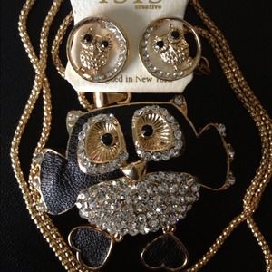 30" Owl necklace w/ matching earrings