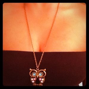 30 Blue eyed owl pendants on 22in bronze chains