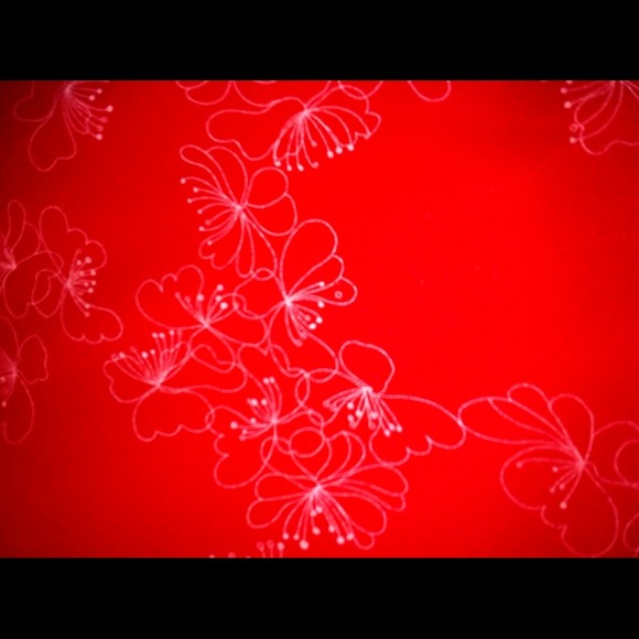 Beautiful H&M skirt, size 12 - Picture 2 of 3