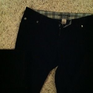 🌀🌀 ON HOLD 🌀🌀