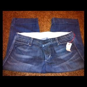 Joes Capri' Size 29 NWT