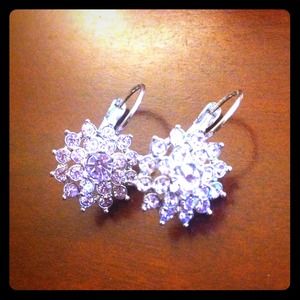 Amethyst earrings