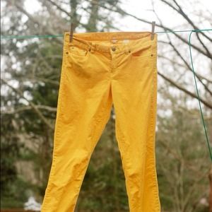 Gold boot cut size 30T j. Crew cords
