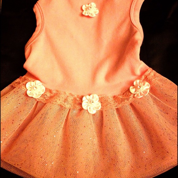 Brand new dress for dogs/puppies!