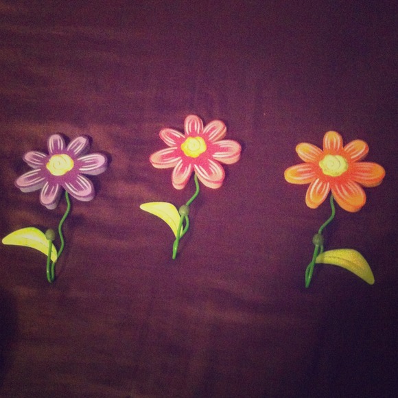 Decorative Hooks
