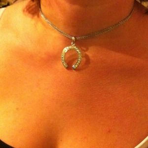 Horse shoe necklace.❗reduced❗