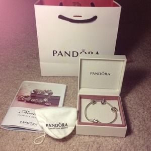 Pandora charm bracelet