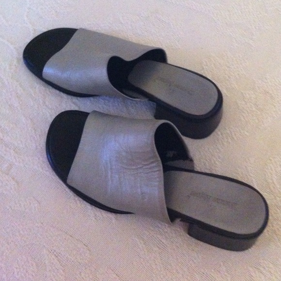 Silver slides