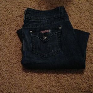 Hudson boot cut flare