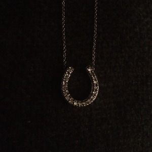 Diamond horseshoe pendant and attached necklace