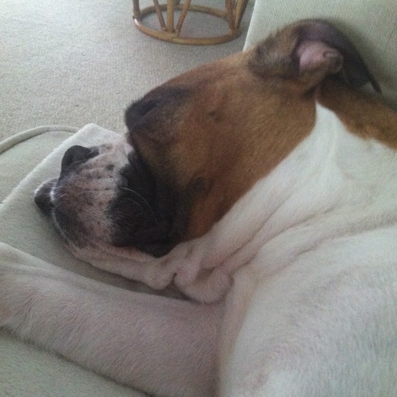 Hard Knock life:)