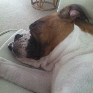 Hard Knock life:)