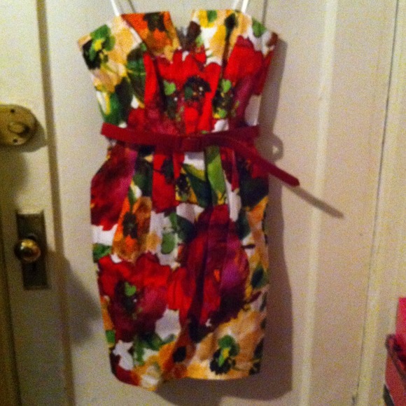 RESERVED! Brand New Floral  Printed Dress W/Belt