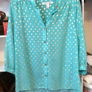 Gold and Turquoise sheer top