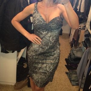 Sexy Snake skin print dress
